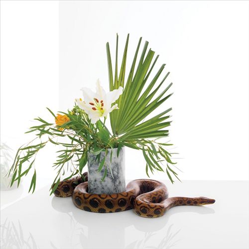 White Noise cover art