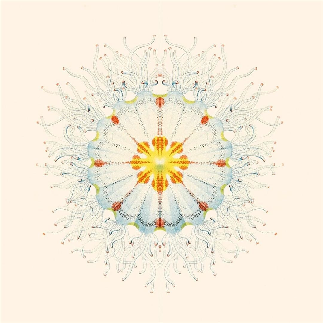 Little Things cover art