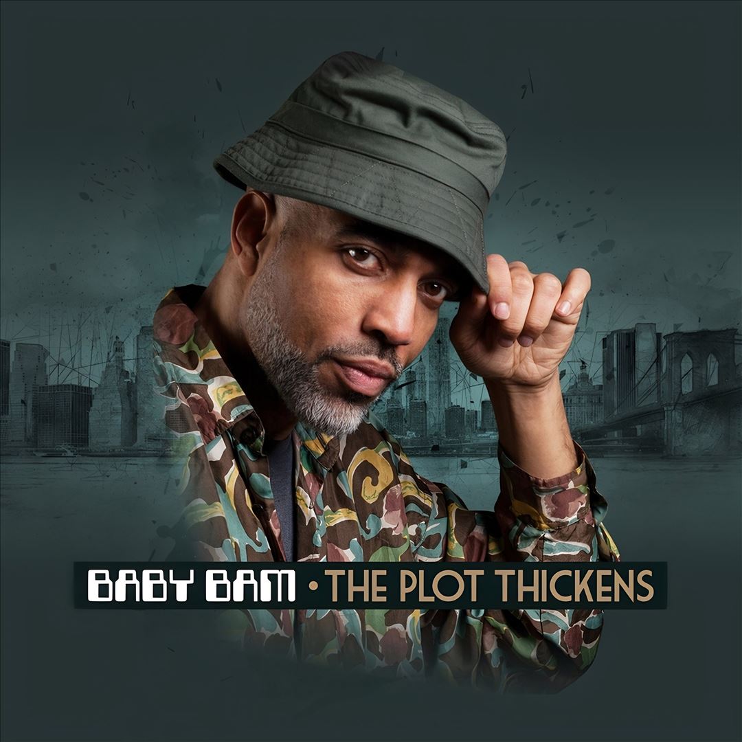 Plot Thickens cover art