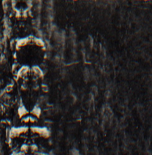 Forest, The People and the Spirits cover art