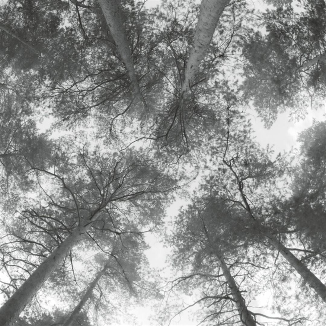 Traveller Song / Thanksong cover art