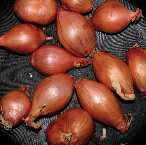 Fried Shallots cover art