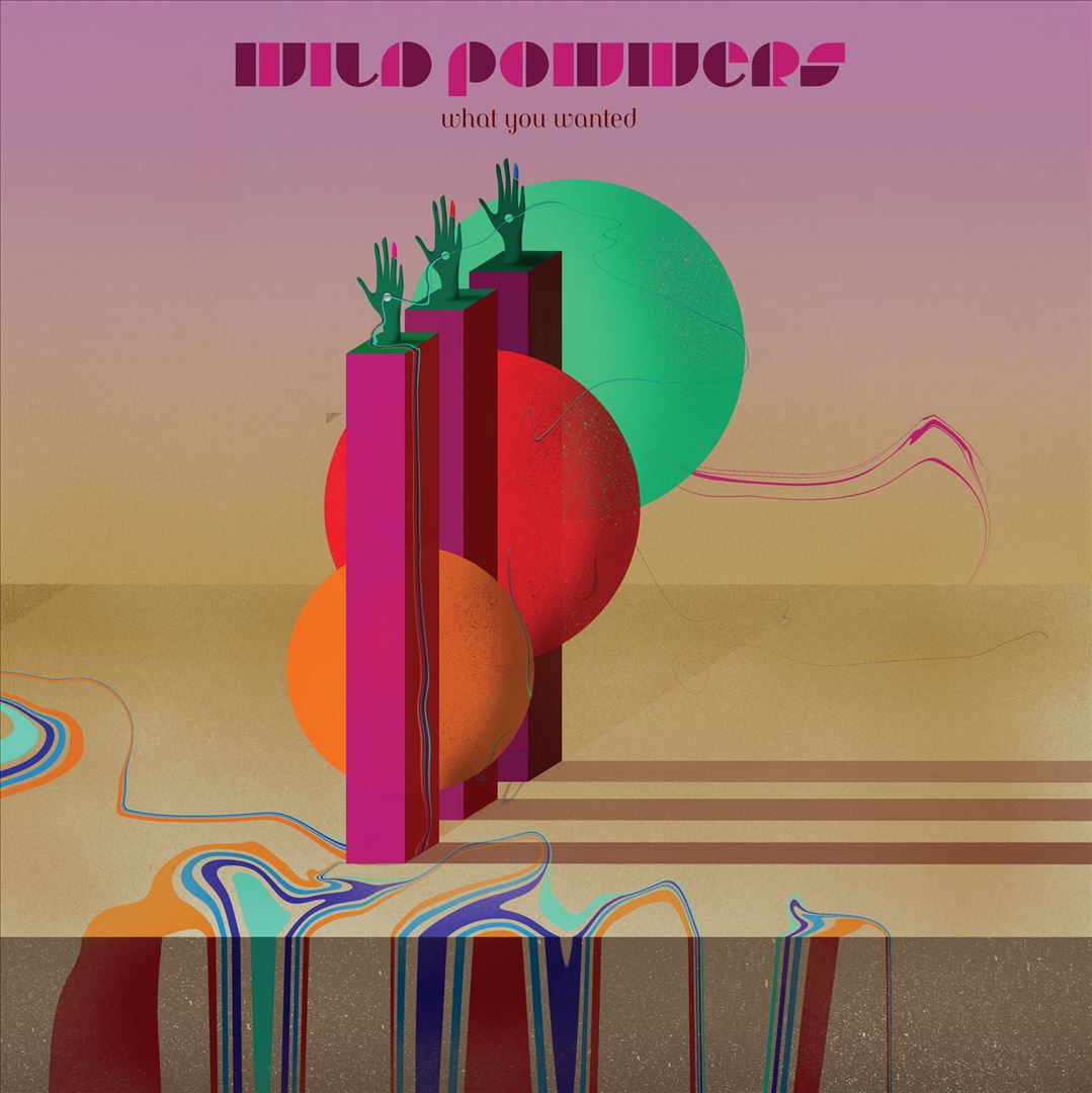 What You Wanted cover art