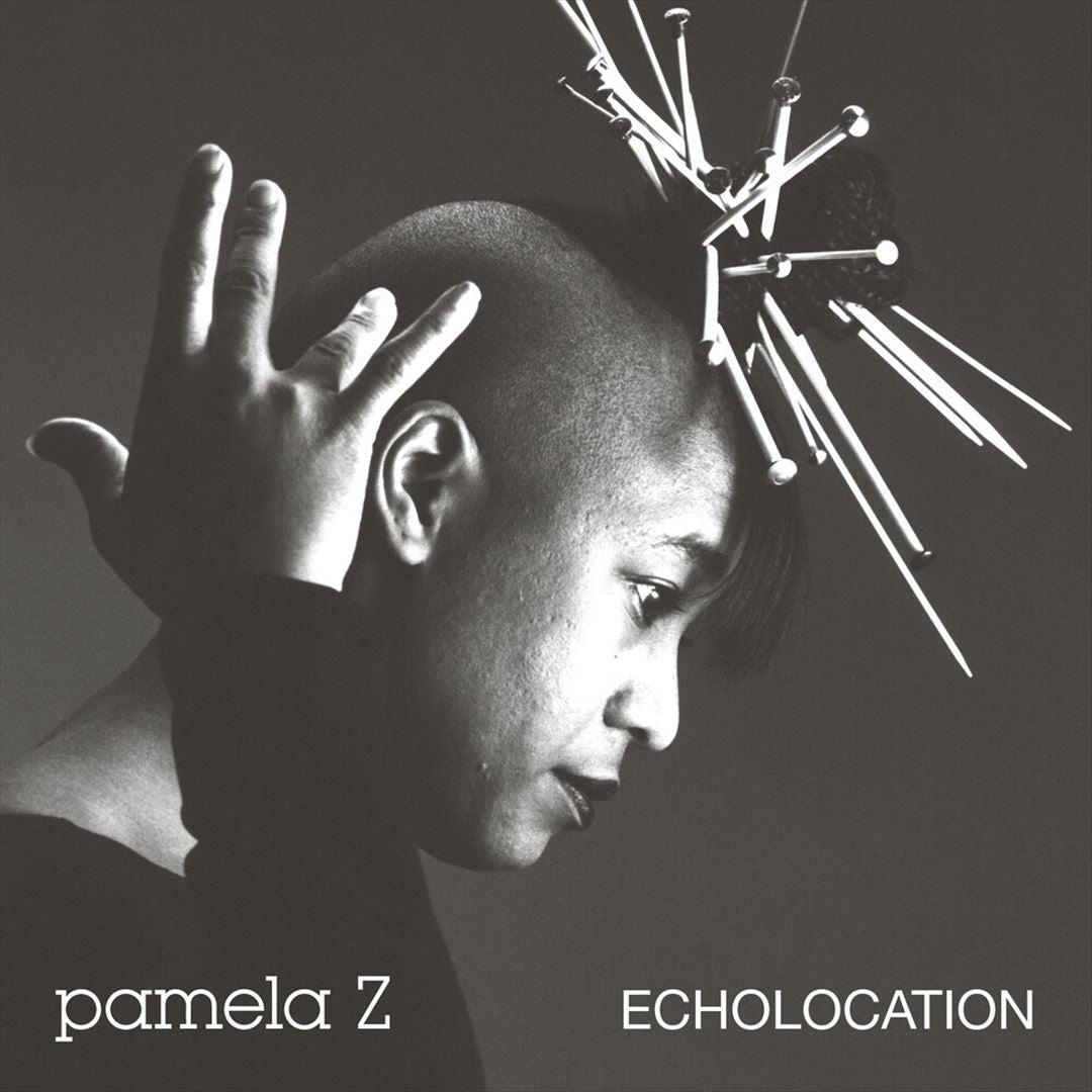 Echolocation cover art