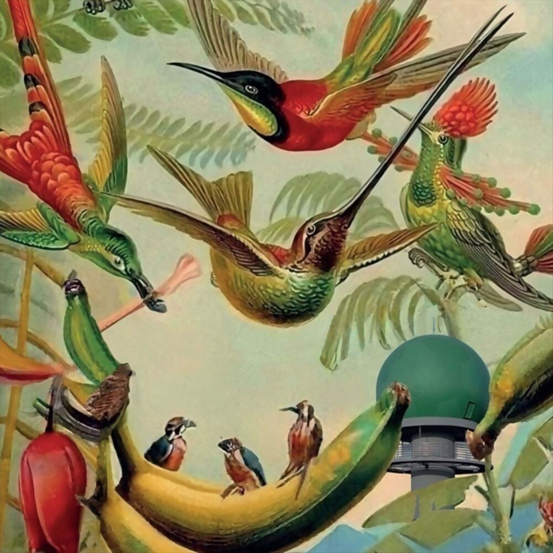 Radar Keroxen, Vol. 4 cover art