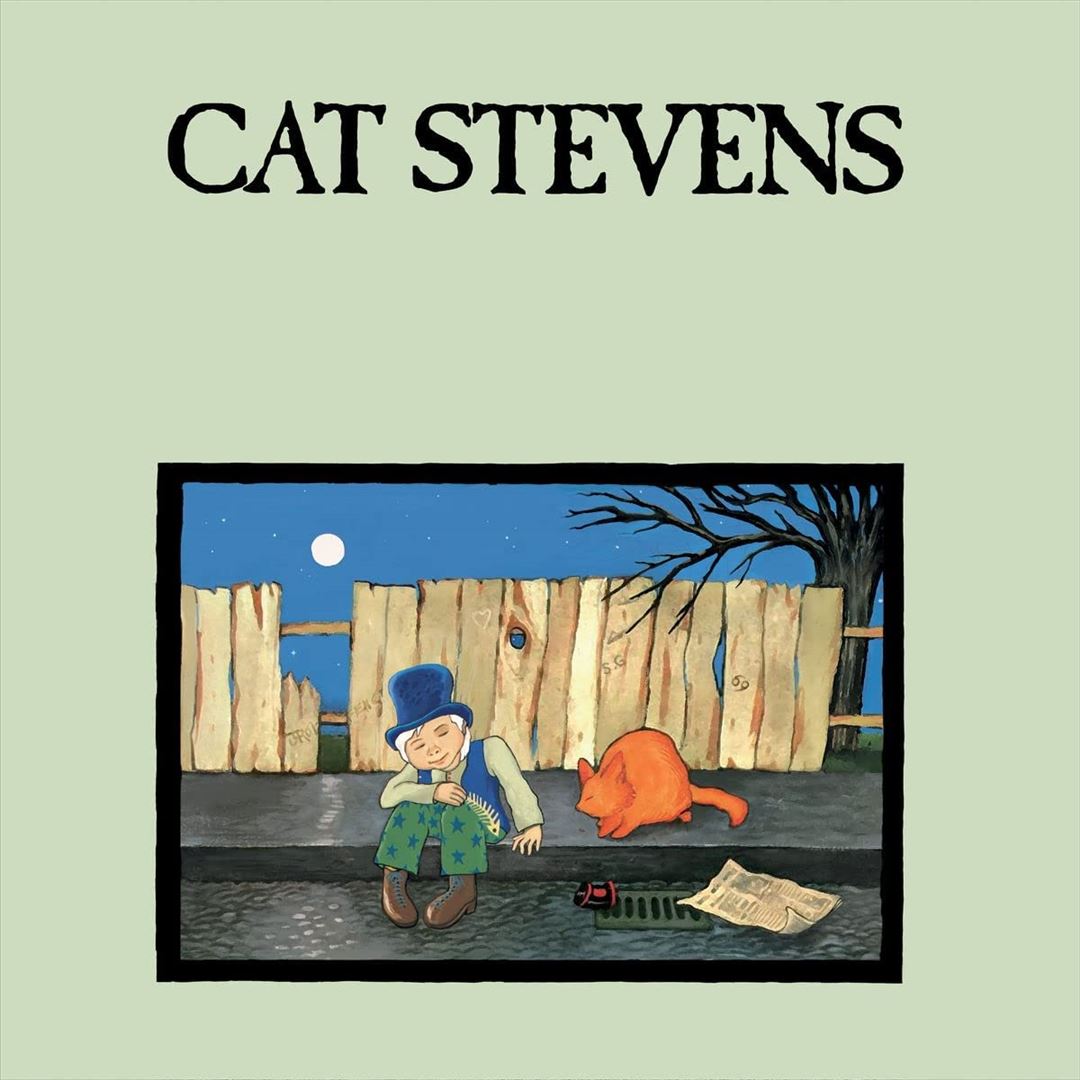 Teaser and the Firecat cover art