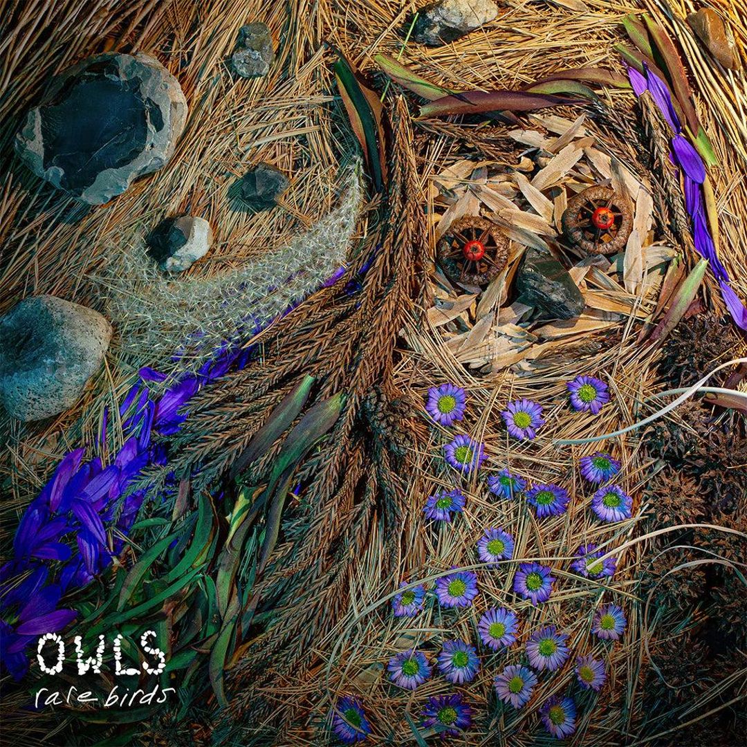 Rare Birds cover art