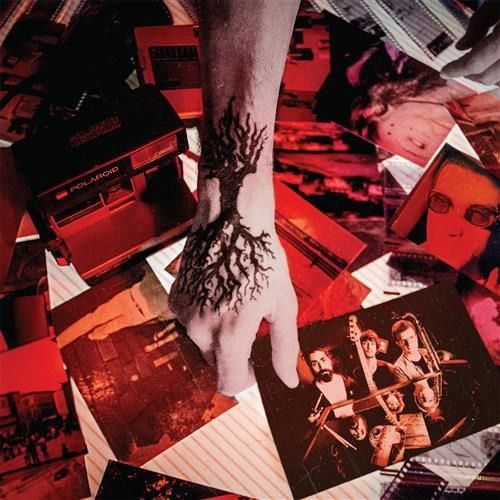 Chromogen cover art