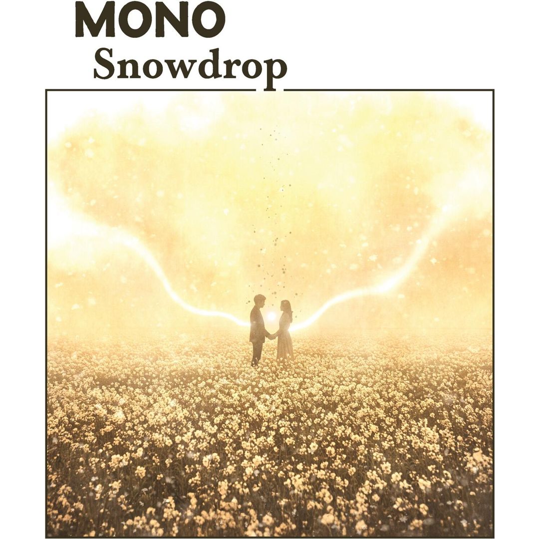 Snowdrop cover art