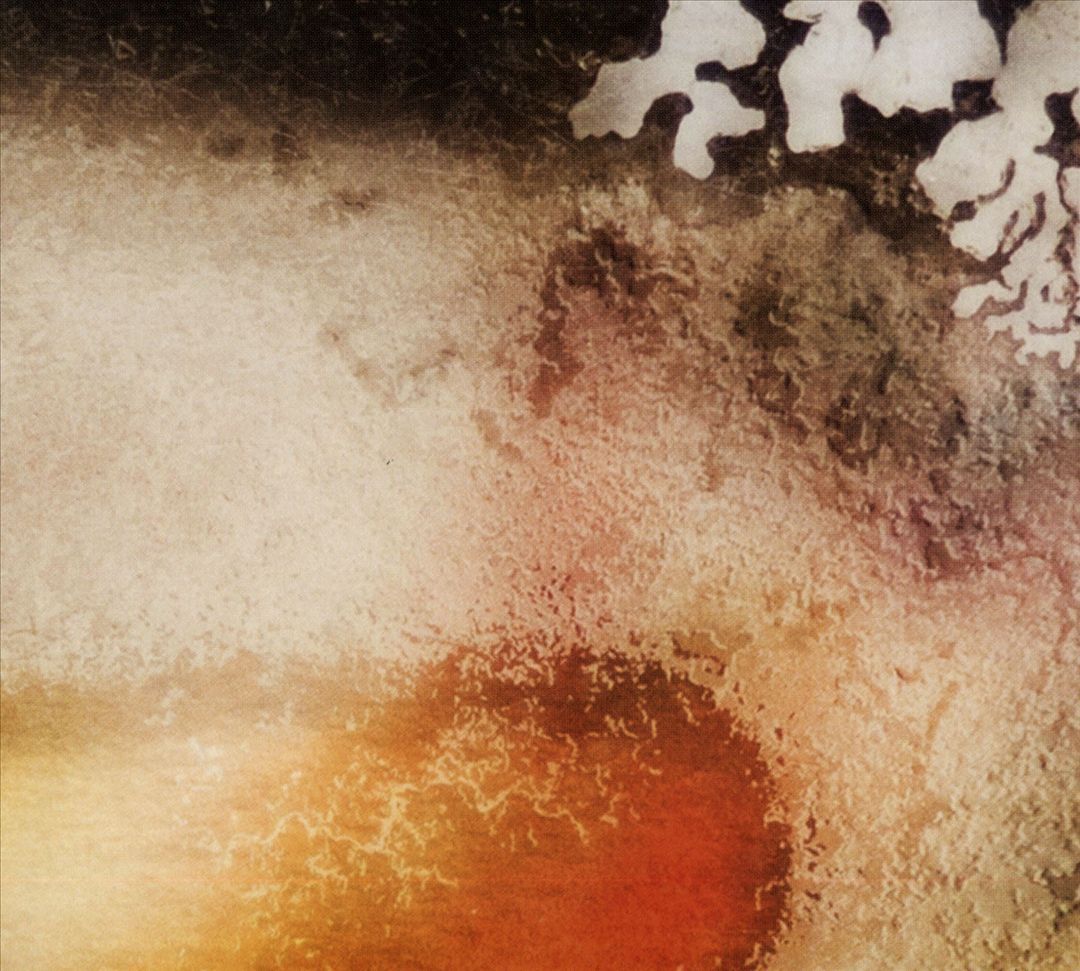 Scape cover art