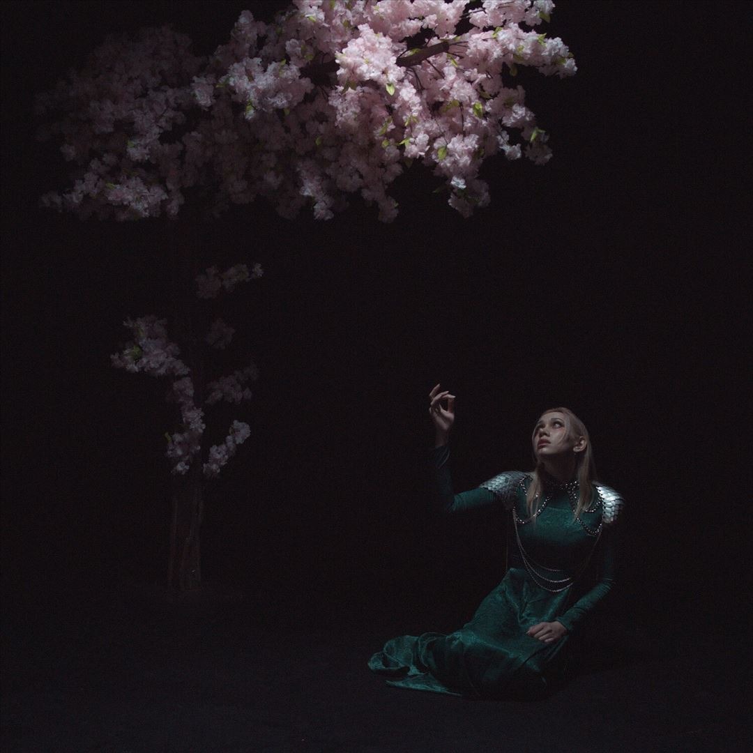 As the Light Left cover art