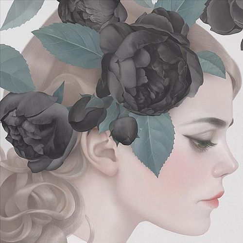 Roses cover art