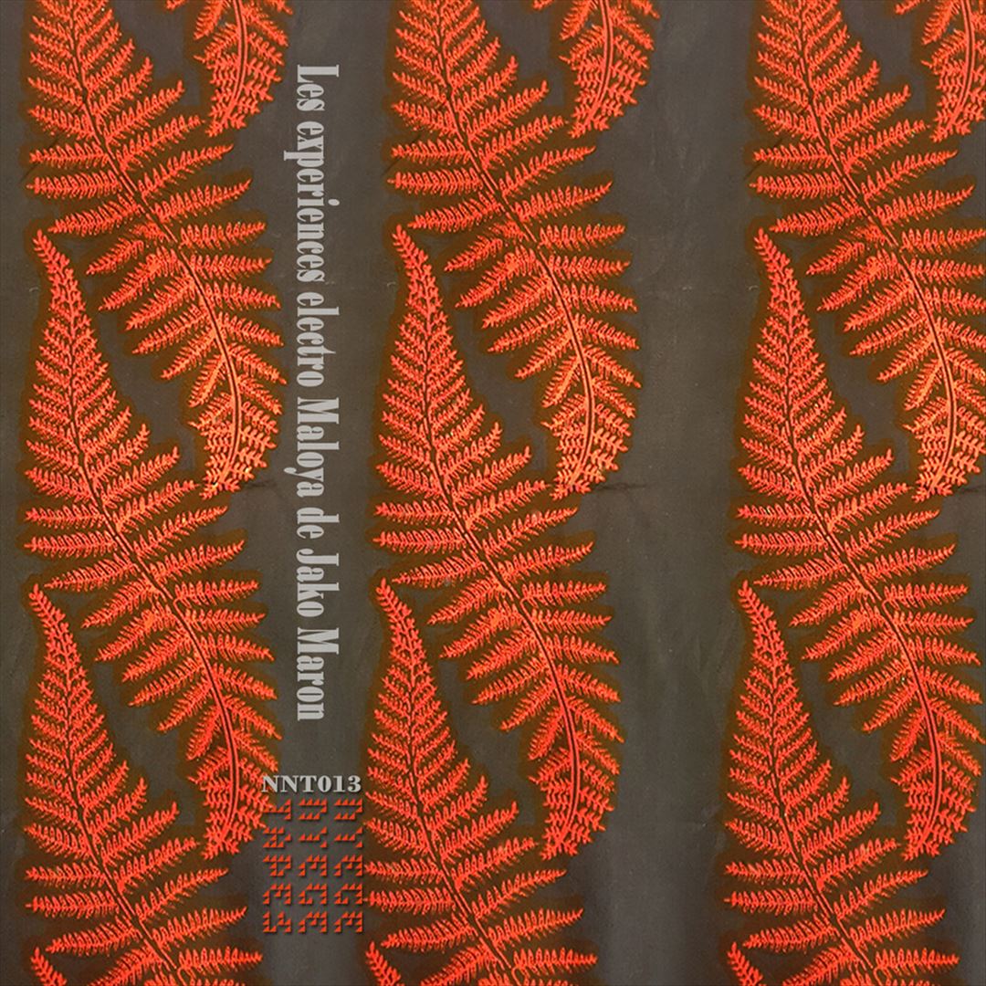 Electro Maloya Experiments of Jako Maron cover art
