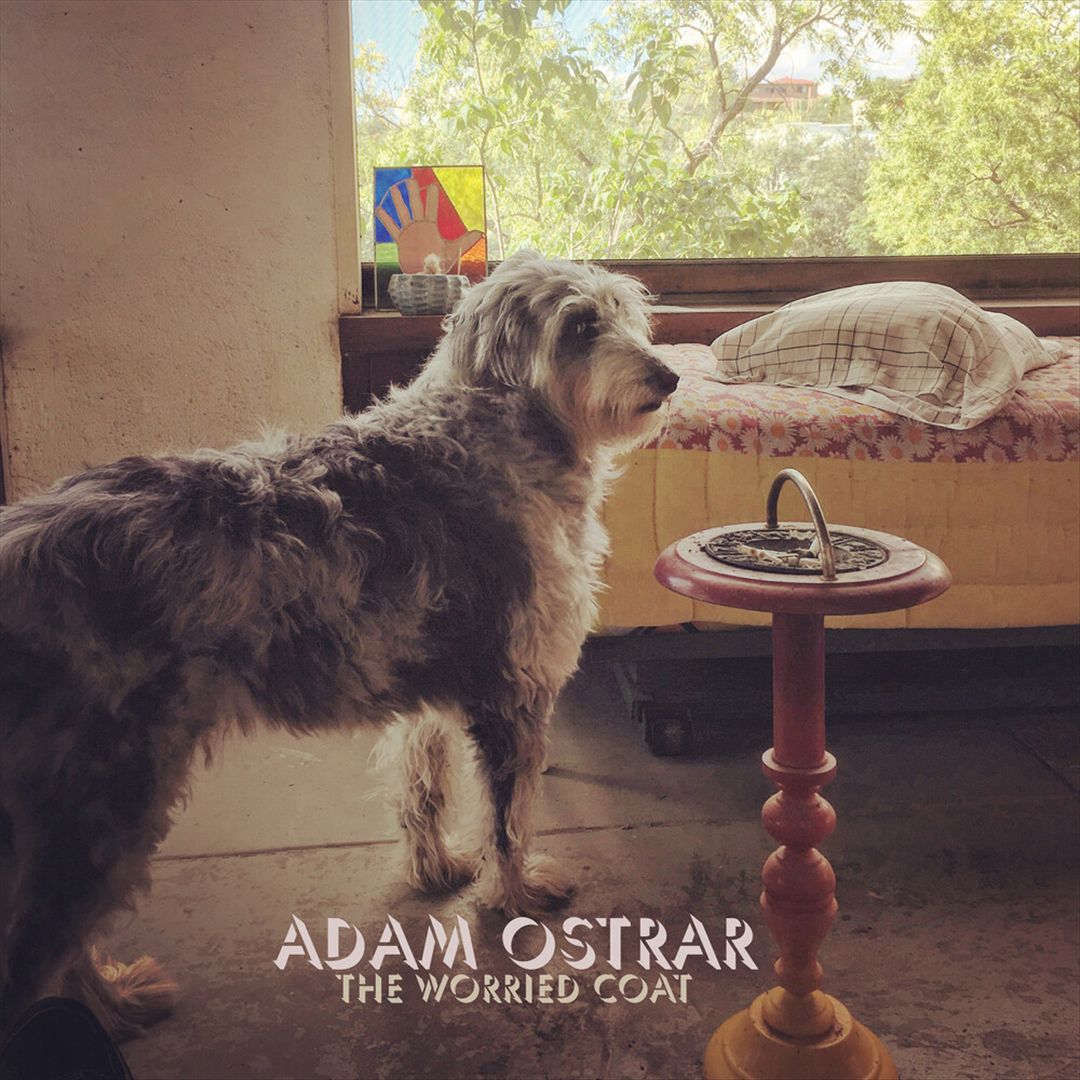 Worried Coat cover art