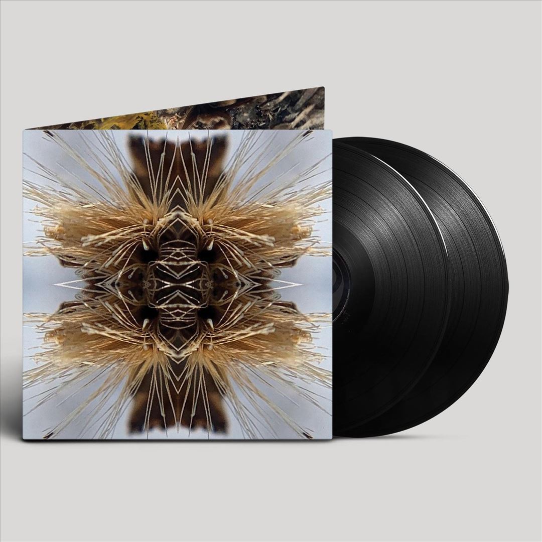 Sutra cover art