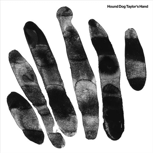 Hound Dog Taylor's Hand cover art