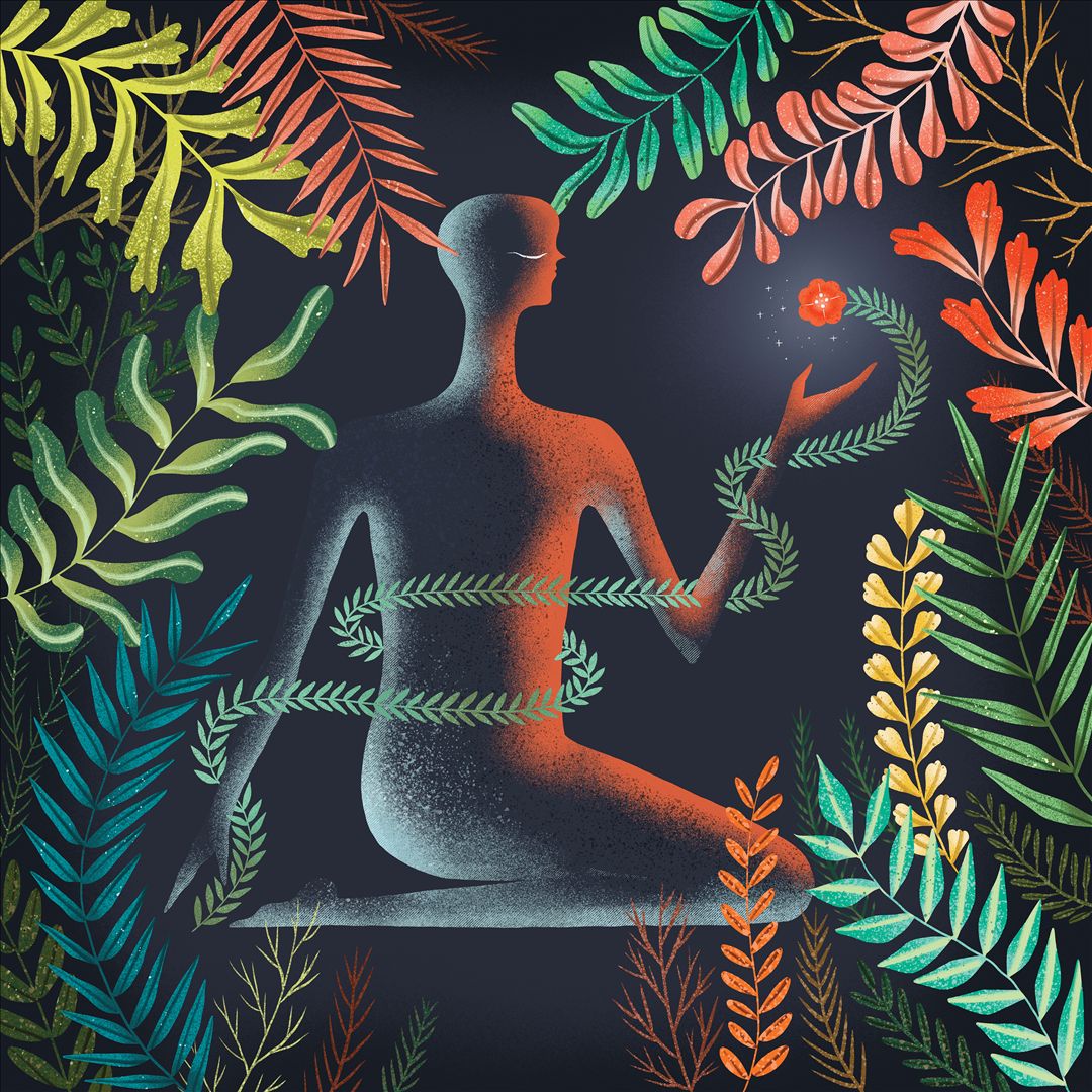 Don't Shy Away cover art