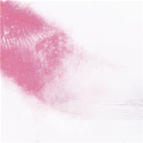 Long Shadow of the Paper Tiger cover art