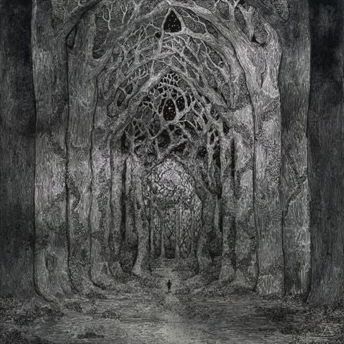 Within the Darkness Between the Starlight cover art
