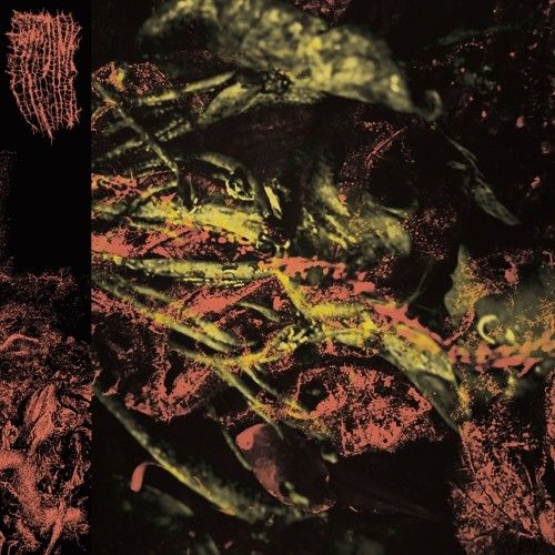 Permanent Destitution cover art