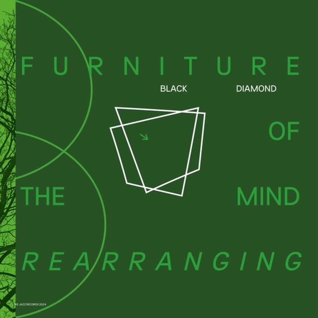 Furniture of Mind Rearranging cover art