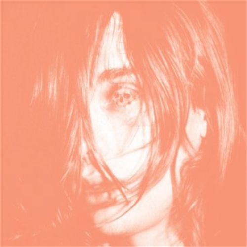 Microcastle/Weird Era Continued cover art