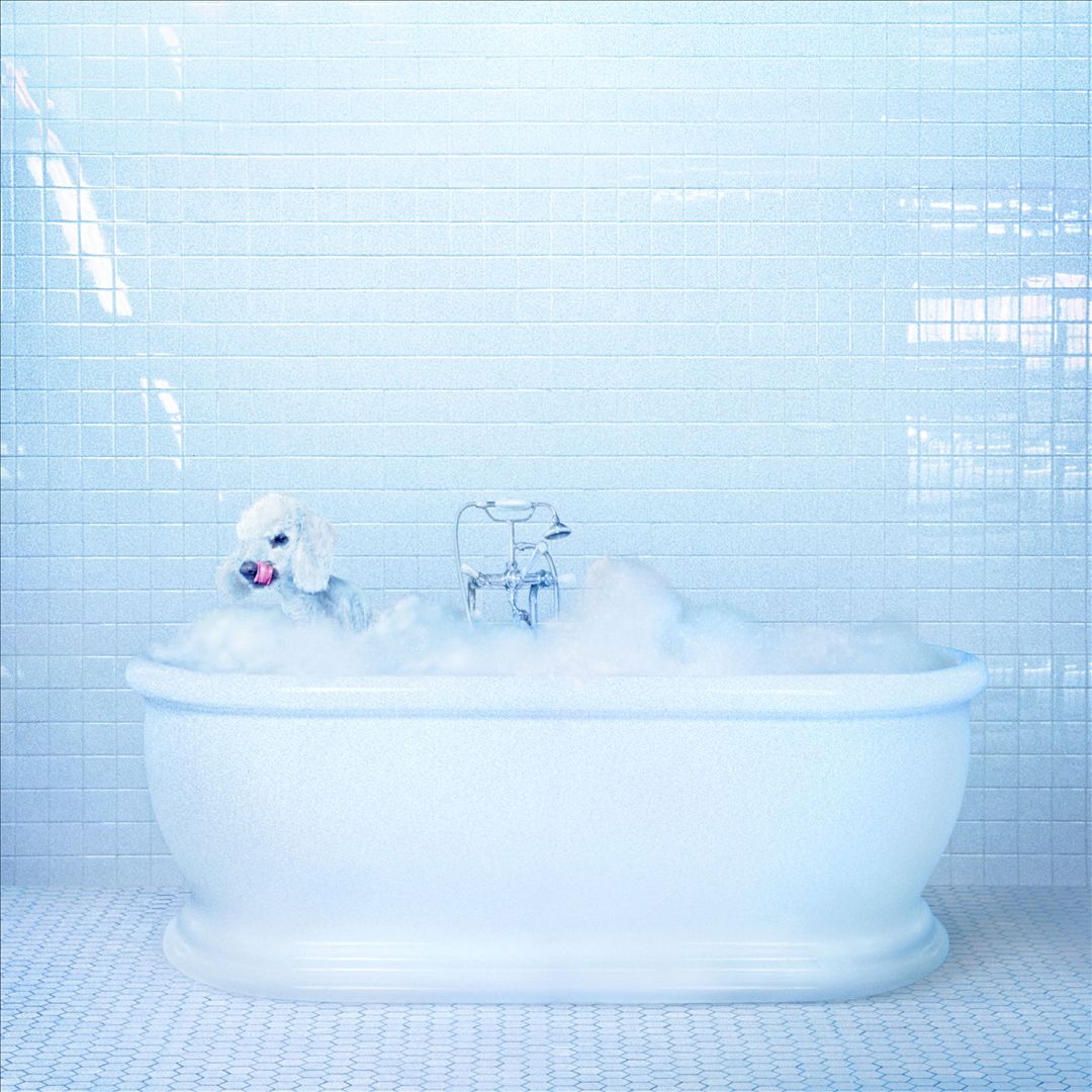 Vessel cover art