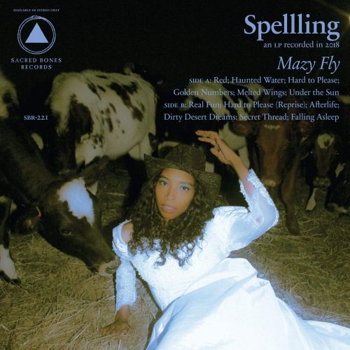 Mazy Fly cover art