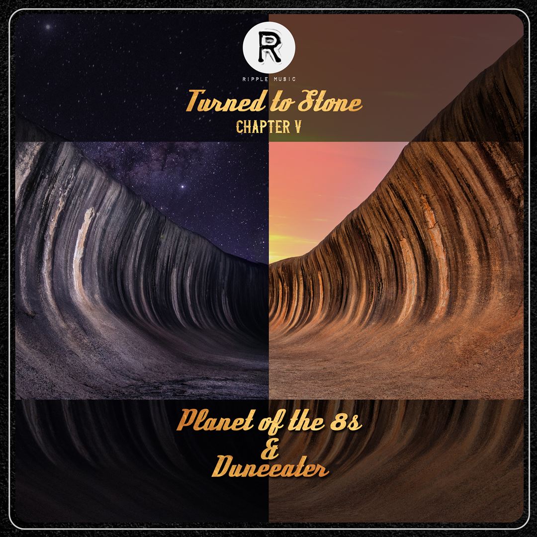 Turned to Stone Chapter 5 cover art