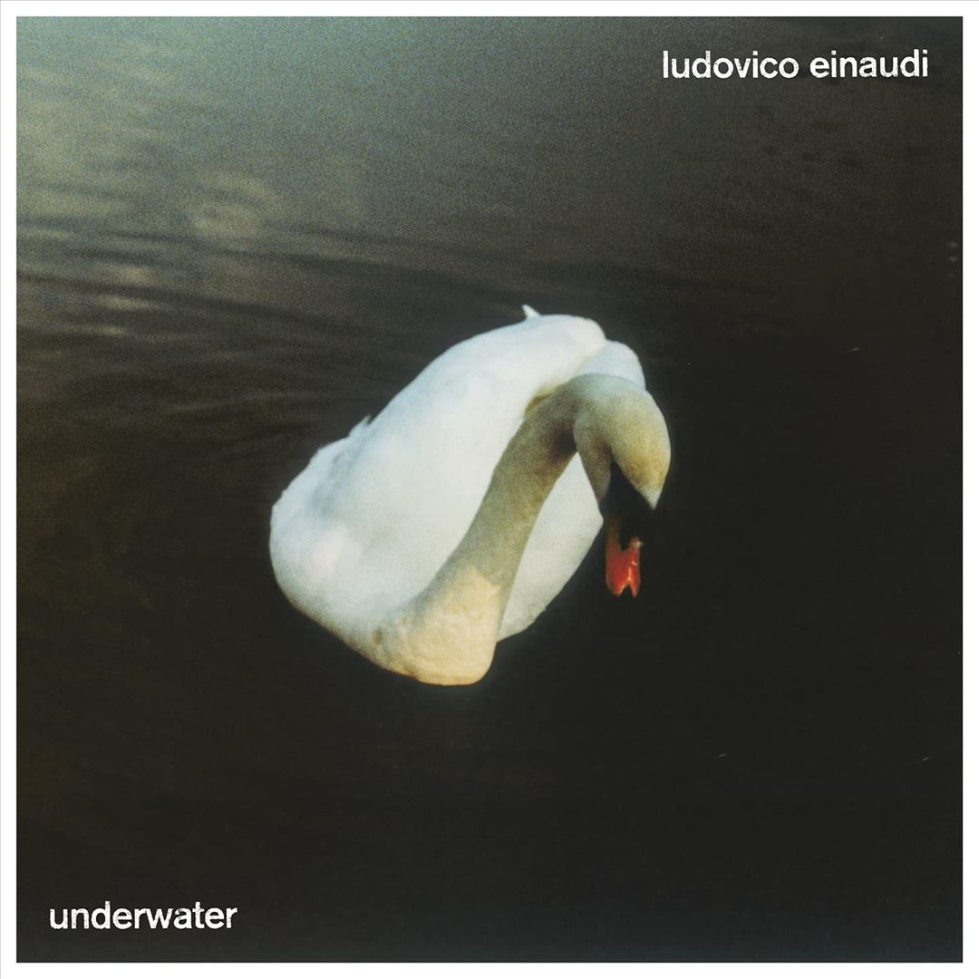 Underwater cover art