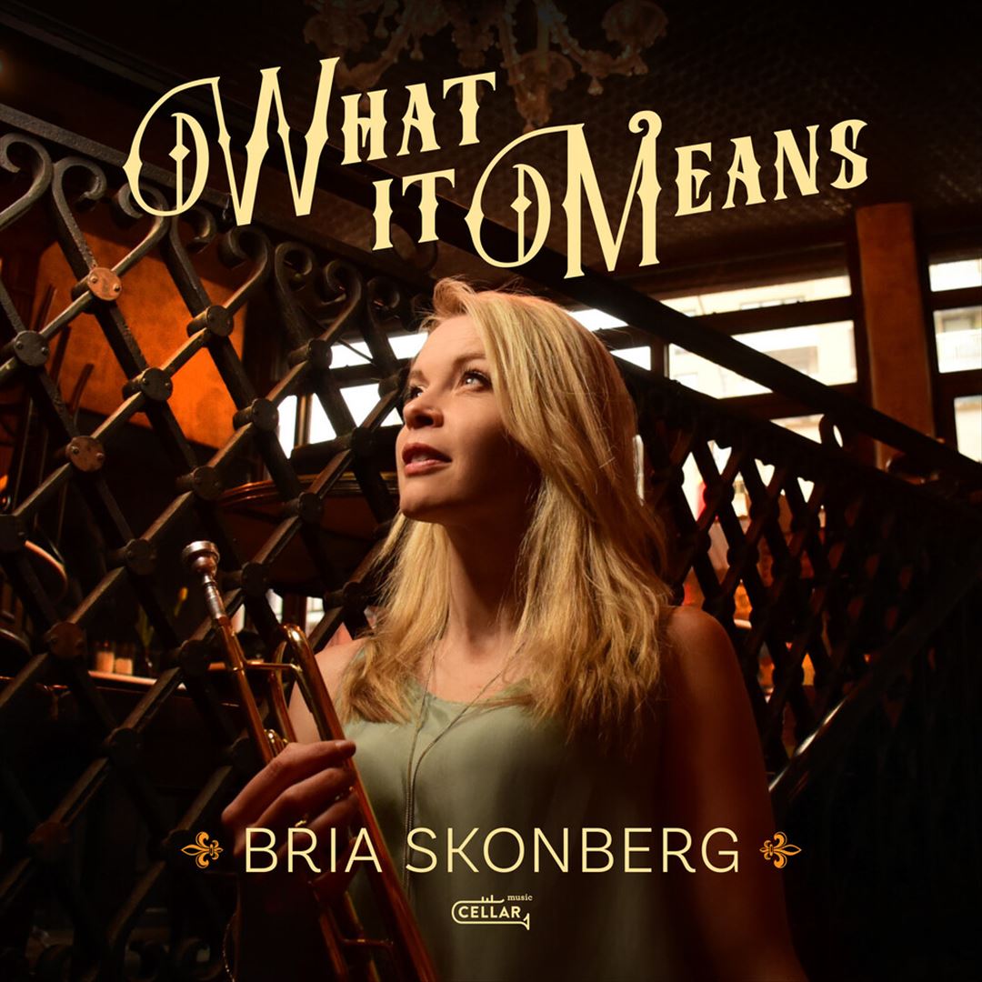 What It Means cover art