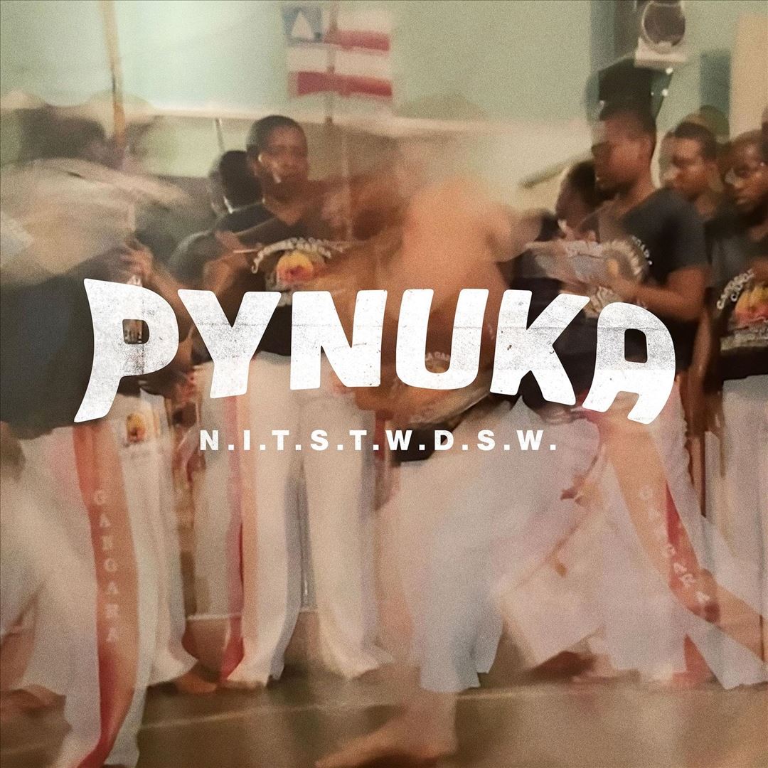 N.I.T.S.T.W.D.S.W. cover art
