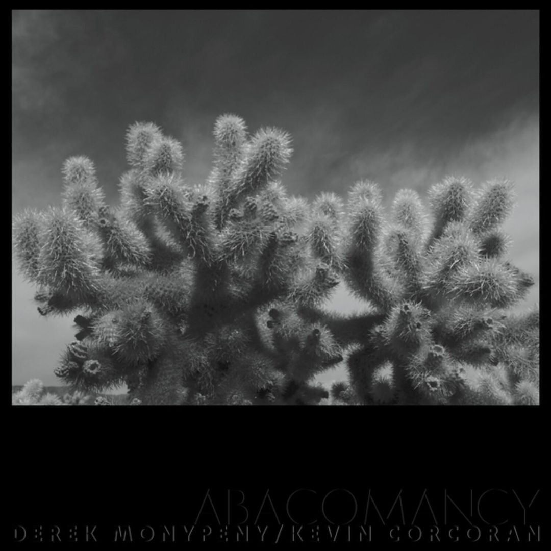 Abacomancy cover art