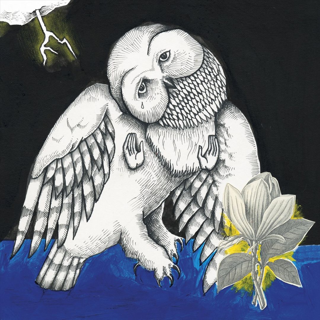 Magnolia Electric Co. cover art
