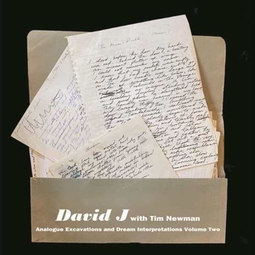 Analogue Excavations & Dream Interpretations, Vol. 2 cover art