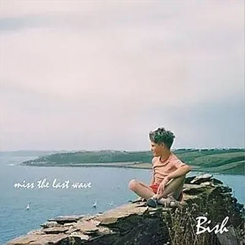 Miss the Last Wave cover art