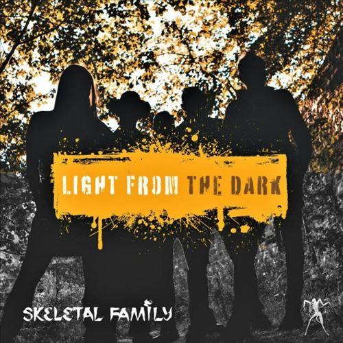 Light From the Dark cover art