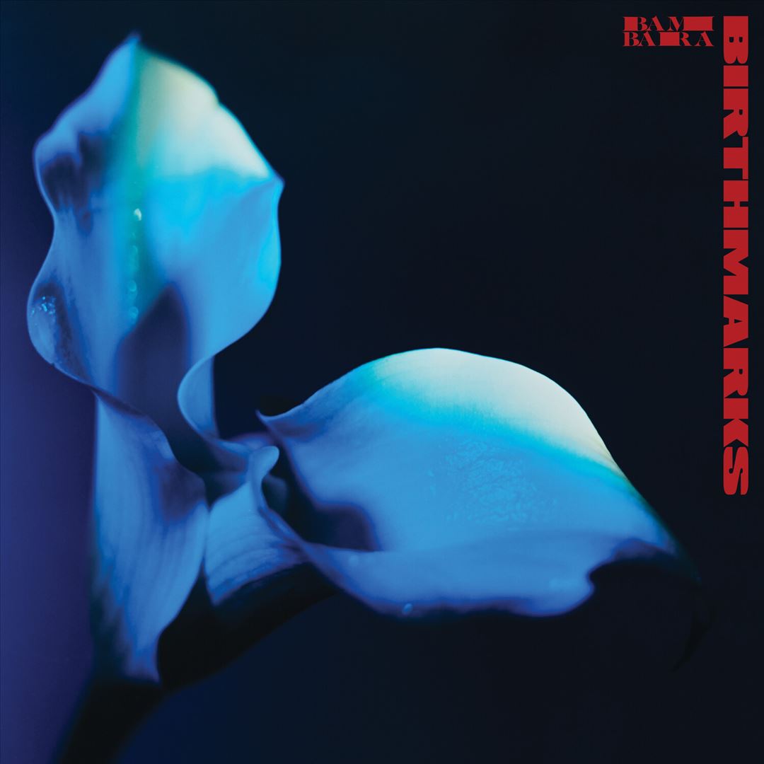 Birthmarks cover art