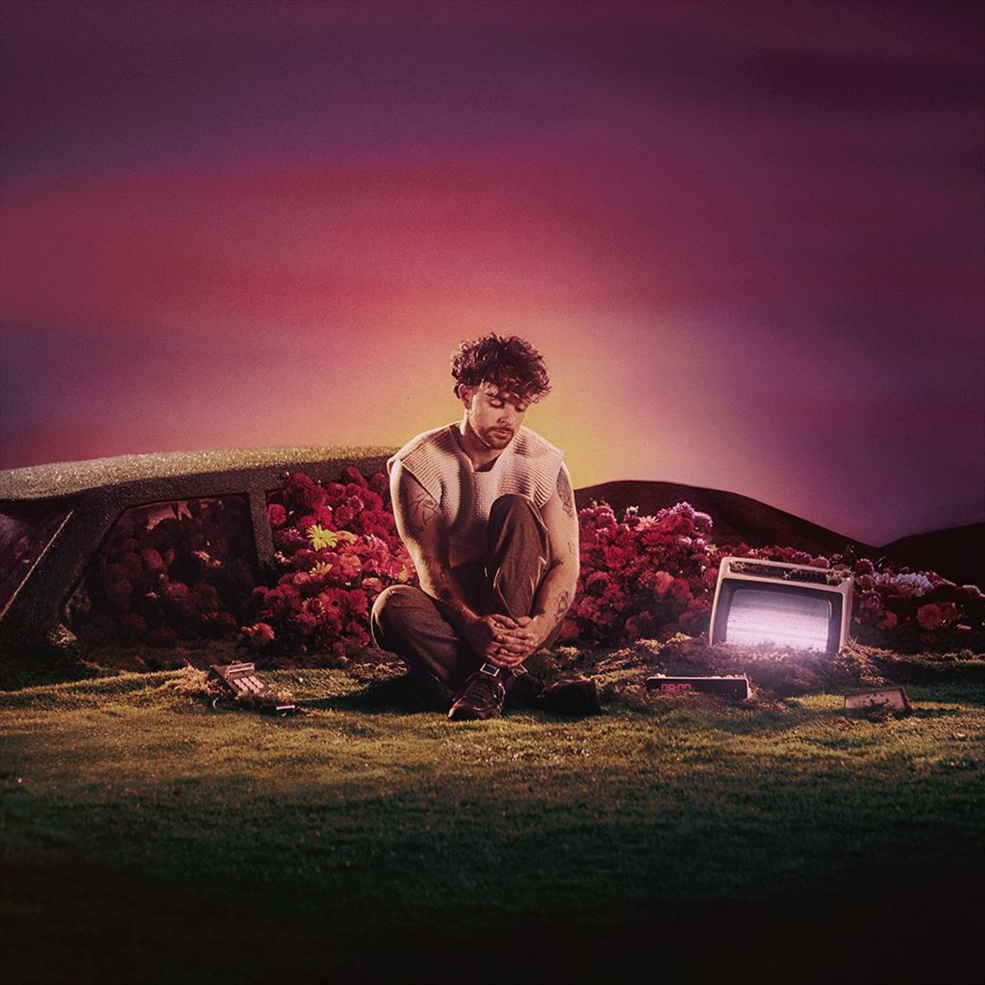 What Ifs & Maybes cover art