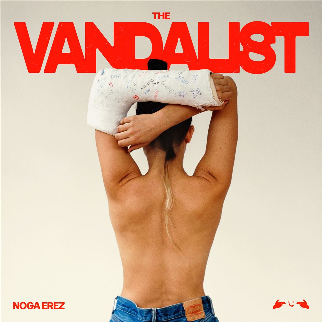 Vandalist cover art