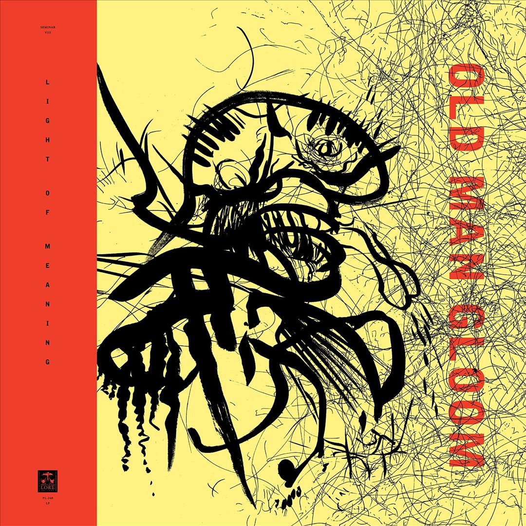 Light of Meaning cover art