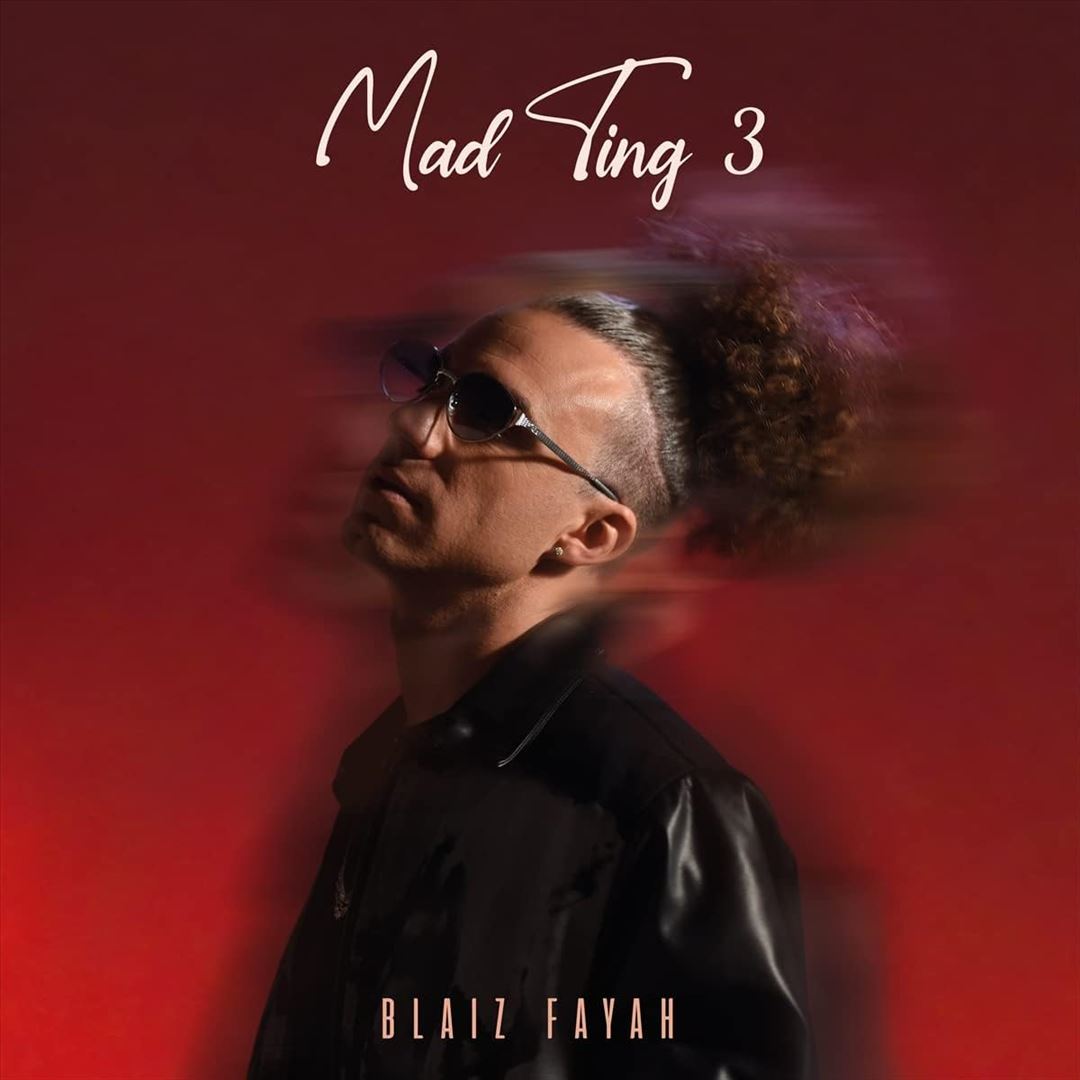 Mad Ting 3 cover art