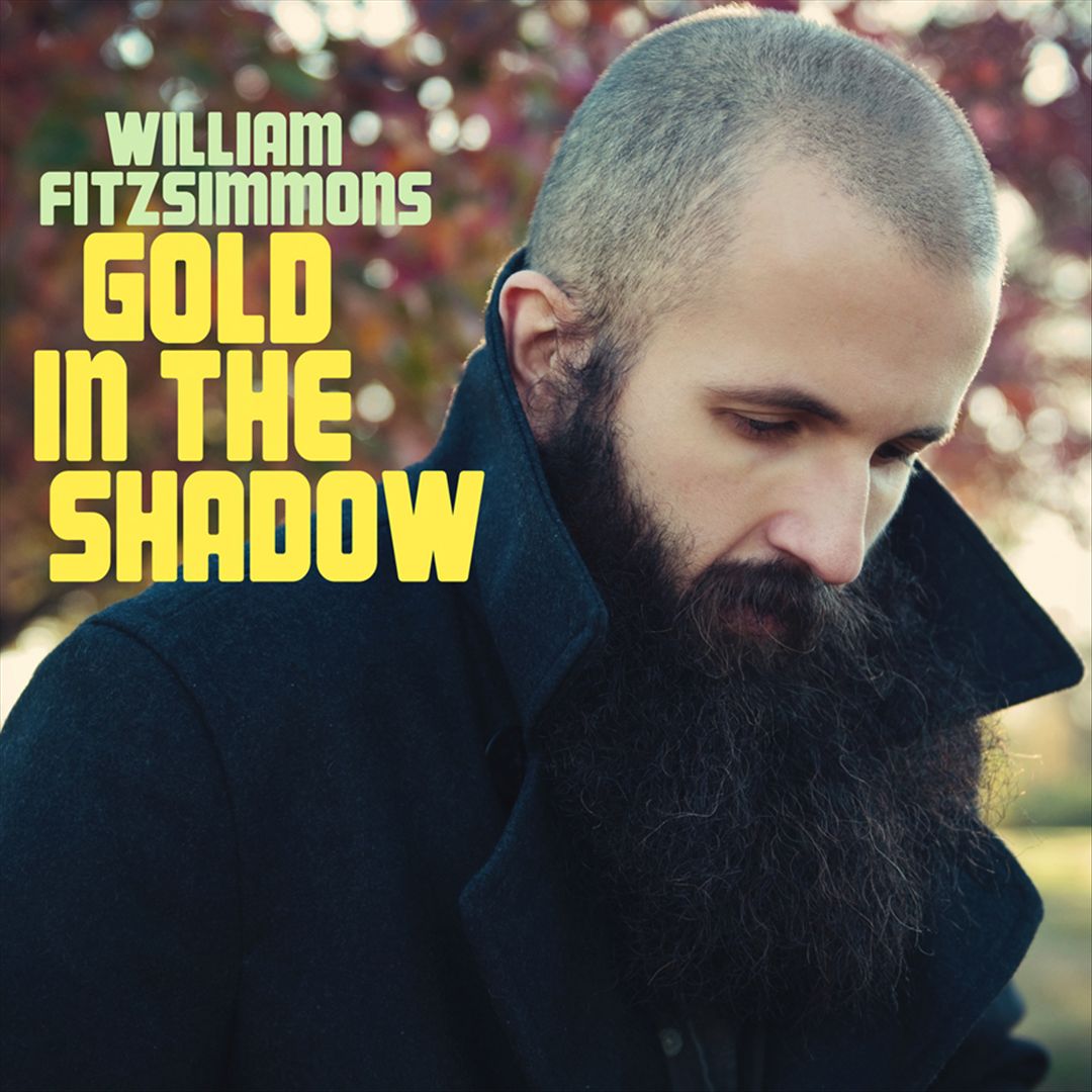 Gold in the Shadow cover art