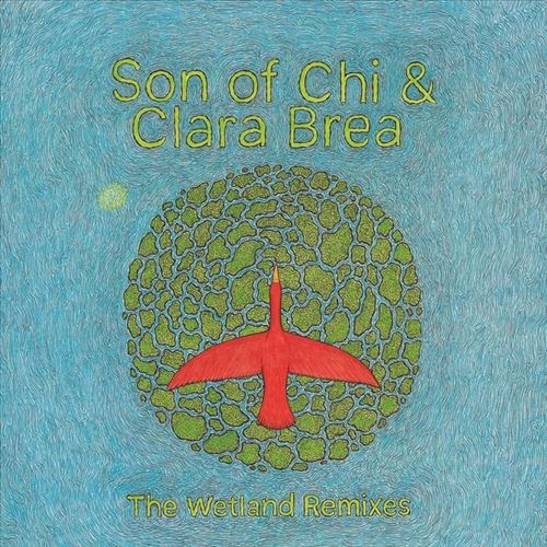 Wetland Remixes cover art