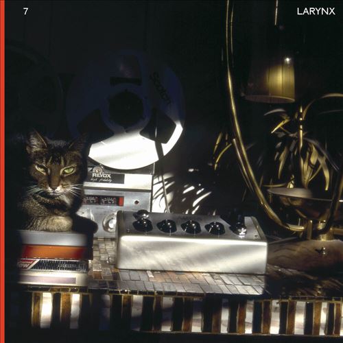 Larynx cover art