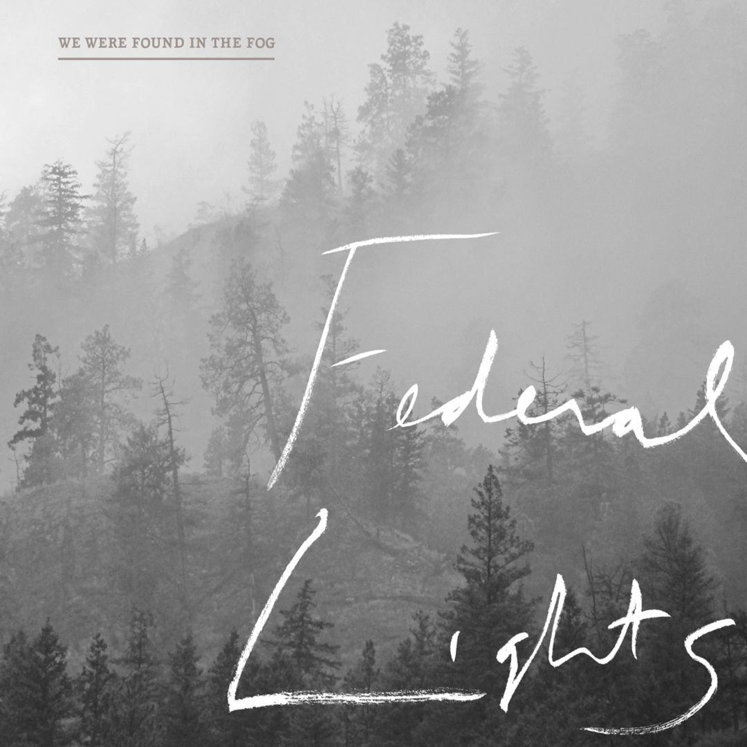 We Were Found in the Fog cover art
