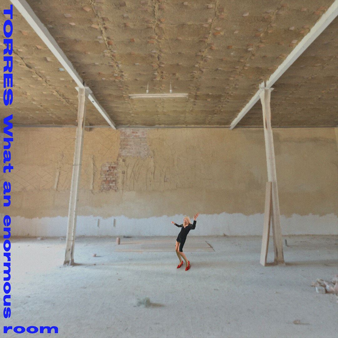 What an Enormous Room cover art