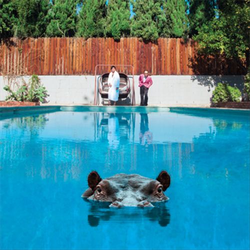 Hippopotamus cover art