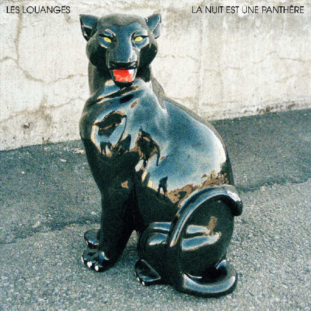 La Nuit Est une Panthere cover art
