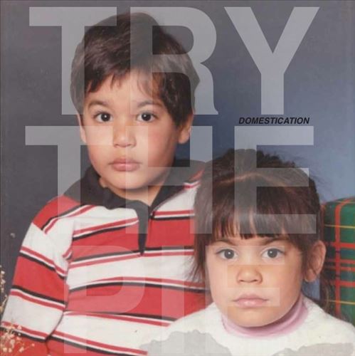 Domestication cover art